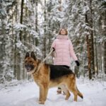 Hundehalter-Regelungen zur Freilauf-Zeit