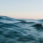 Wasserläufern können auf Wasser laufen dank chemischer Oberflächenspannung