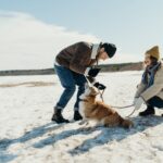 Hund im Schnee laufen Länge