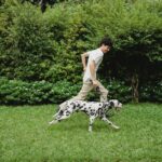 Hundelaufgeschwindigkeit: Wie lange können Hunde laufen?